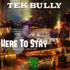 Tek Bully - Here to Stay - Single